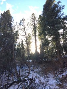 Taos nature self-care