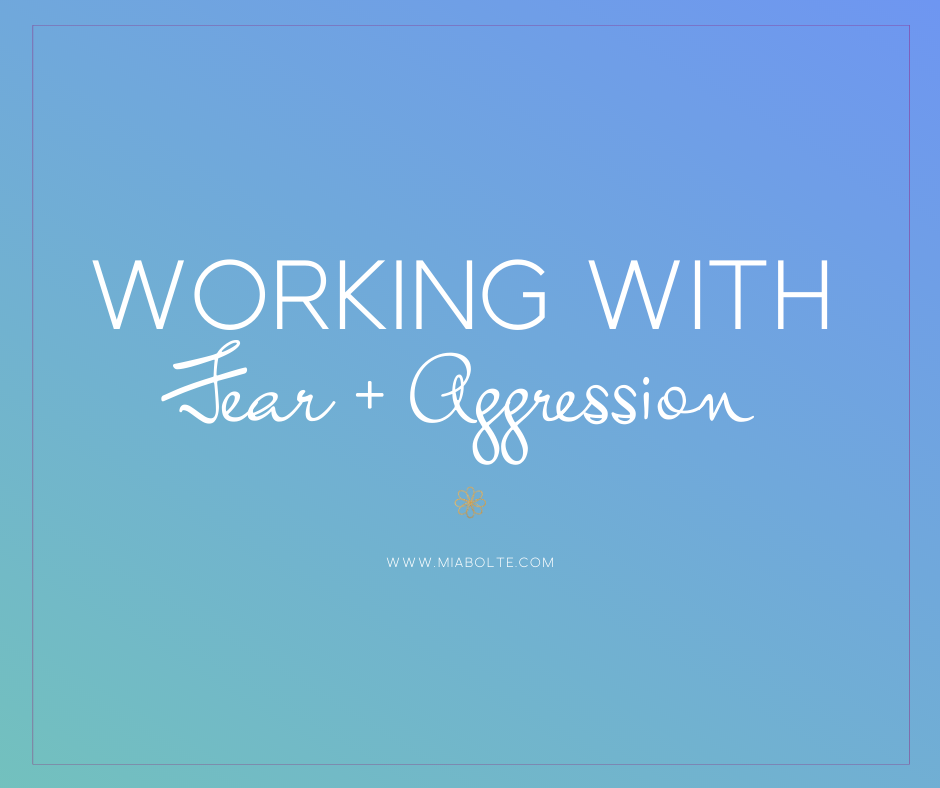 working with fear and agression